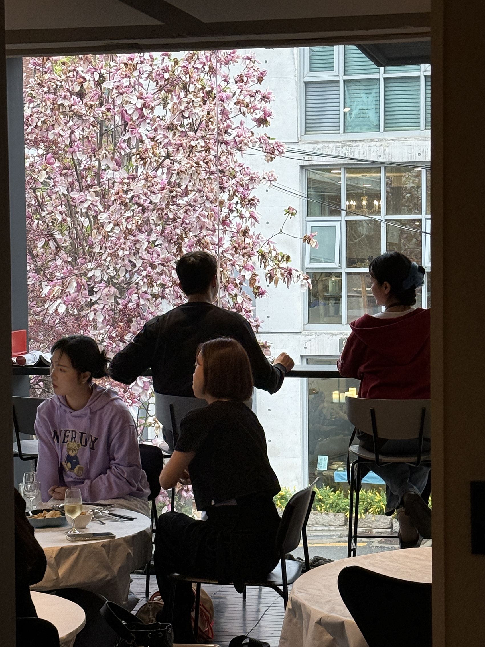 사사사가, <조조서촌>