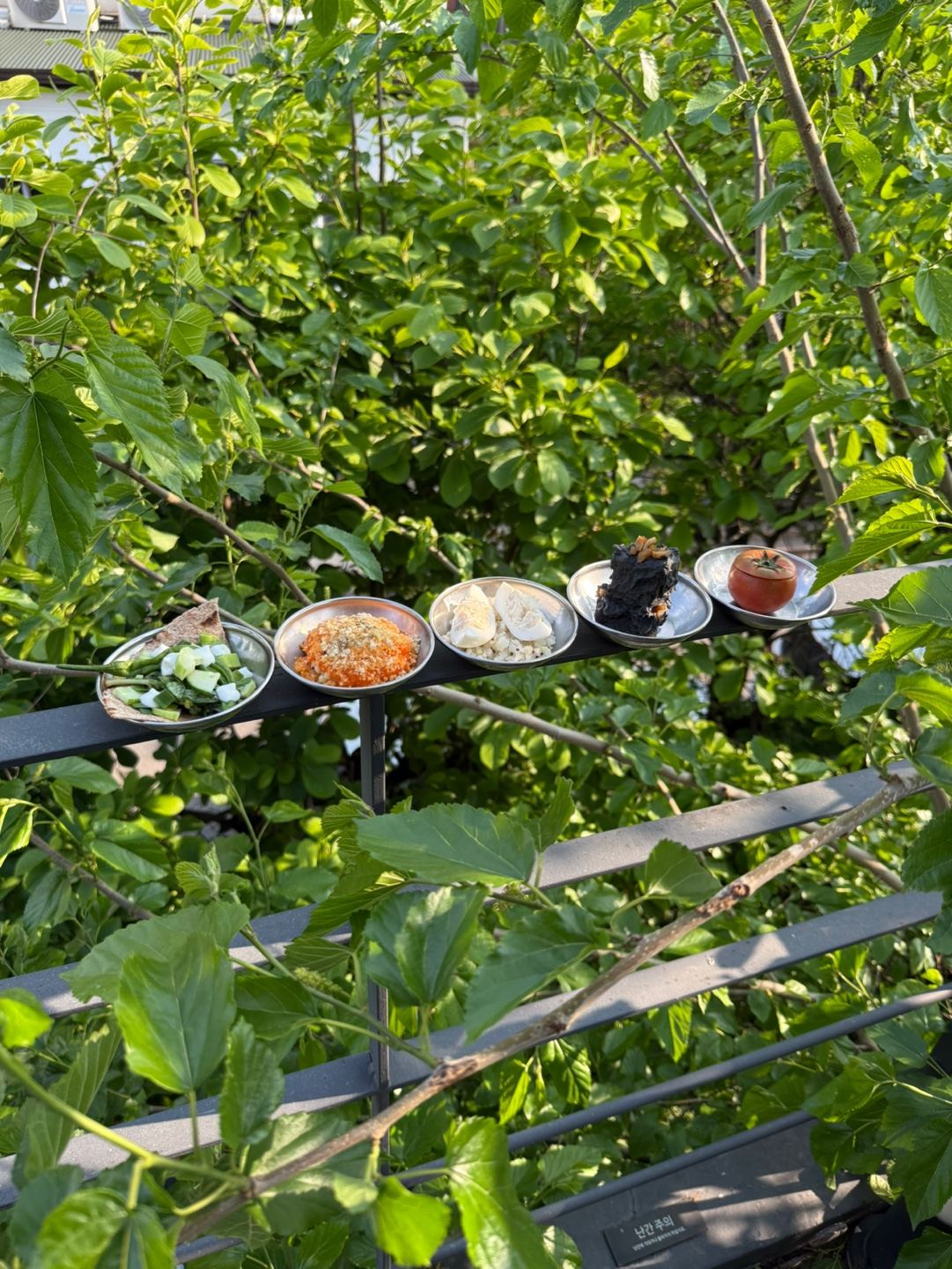 사사사가, <조조서촌>