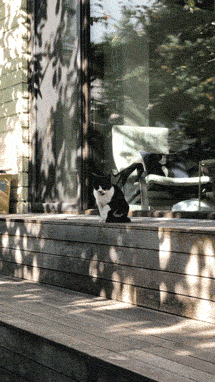 서울방학