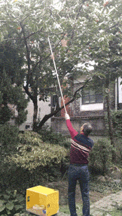 서울방학