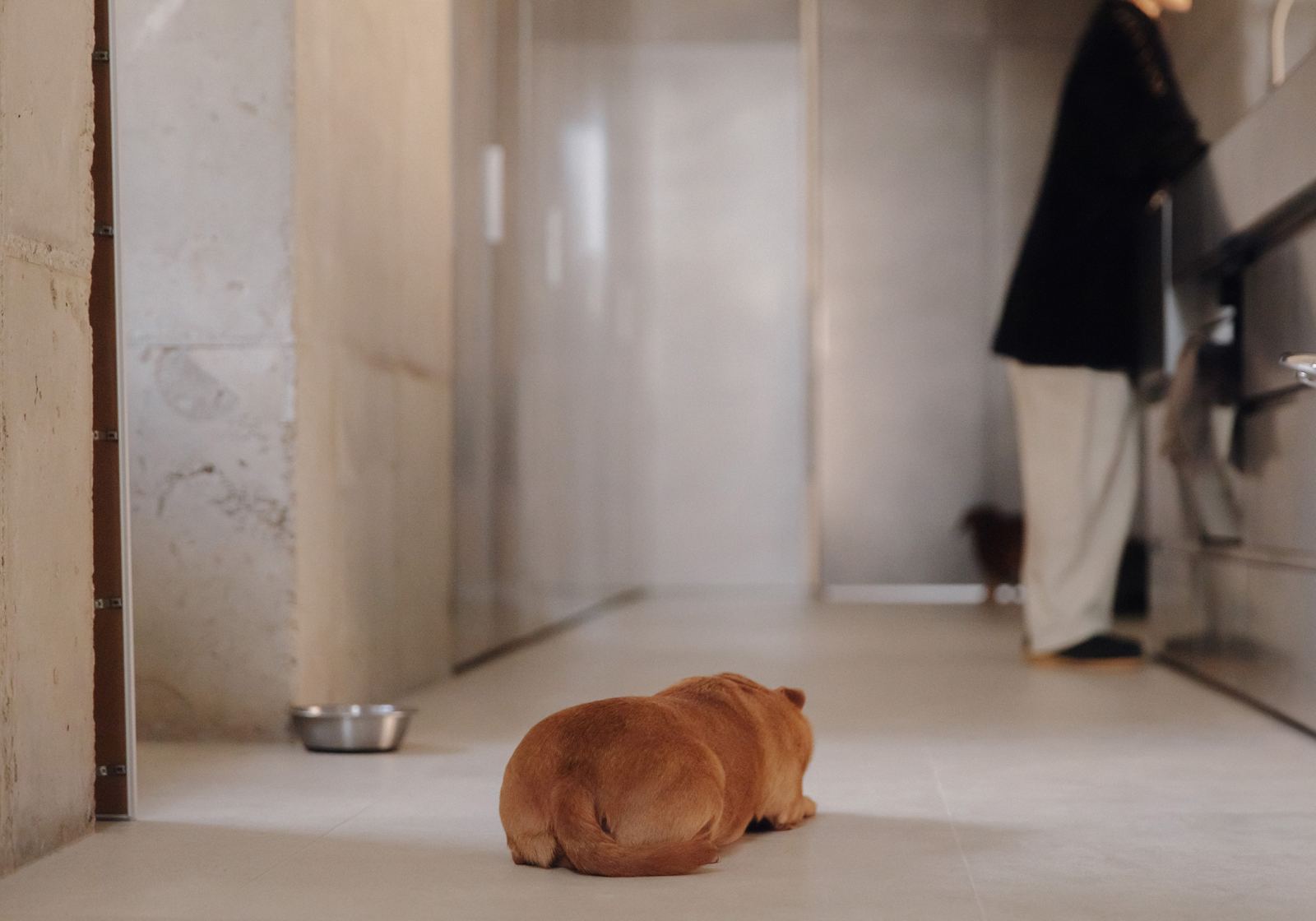 계단 없는 집